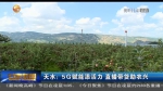 【短视频】天水：5G赋能添活力 直播带货助农兴 - 甘肃省广播电影电视