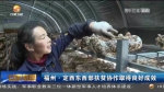 【短视频】福州·定西东西部扶贫协作取得良好成效 - 甘肃省广播电影电视