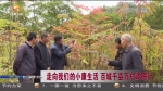 【短视频】窑儿村的变迁 - 甘肃省广播电影电视
