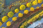 【飞阅甘肃】张掖湿地公园：深秋美景若油画 - 中国甘肃网