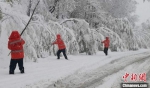 图为临夏公路局各养护单位工作人员清理树枝积雪及折断树枝。　杨元鹏 摄 - 甘肃新闻