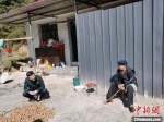 10月下旬，邱琦(左)在崔马村村民马吴怀家里“唠嗑”。　吴鹏 摄 - 甘肃新闻