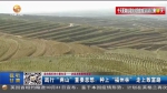 【短视频】践行“两山”重要思想：种上“福州林” 走上致富路 - 甘肃省广播电影电视