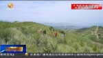 【短视频】践行“两山”重要思想：种上“福州林” 走上致富路 - 甘肃省广播电影电视