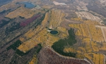 河北沙河：山乡银杏黄 太行秋景美 - 中国甘肃网