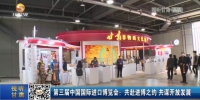 【短视频】第三届中国国际进口博览会：共赴进博之约 共谋开放发展 - 甘肃省广播电影电视