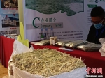 图为来自定西市岷县的一家草业公司展示不同种类的商品草。　张婧 摄 - 甘肃新闻