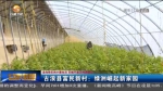 【短视频】古浪县富民新村：绿洲崛起新家园 - 甘肃省广播电影电视