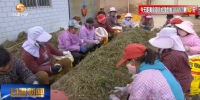 【短视频】甘肃：2454个扶贫车间让贫困群众实现家门口就业 - 甘肃省广播电影电视
