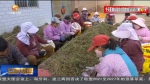 【短视频】甘肃：2454个扶贫车间让贫困群众实现家门口就业 - 甘肃省广播电影电视