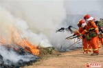 兰州市两山绿化指挥部组织森林火灾扑救演练 - 中国甘肃网