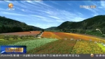 【短视频】量质双升 前三季度十大生态产业占全省生产总值达五分之一 - 甘肃省广播电影电视