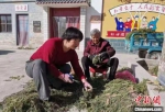 图为顾红艳和村民一起修剪红萝卜苗。(资料图)受访者供图 - 甘肃新闻