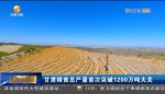 【短视频】甘肃粮食总产量首次突破1200万吨大关 - 甘肃省广播电影电视