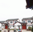 图为张掖市甘州区速展村新农村面貌。(资料图) 杨艳敏 摄 - 甘肃新闻