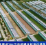 【短视频】甘肃省建成284万亩规模化标准化绿色化马铃薯种植基地 - 甘肃省广播电影电视
