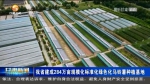 【短视频】甘肃省建成284万亩规模化标准化绿色化马铃薯种植基地 - 甘肃省广播电影电视