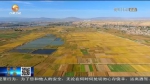 【短视频】兰州：产业拓宽增收路 保障提升幸福感 - 甘肃省广播电影电视