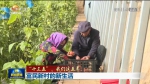 【短视频】央视新闻联播播出 （“十三五”我们这五年）富民新村的新生活 - 甘肃省广播电影电视