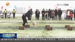 【短视频】甘肃省各地举行活动庆祝首个中国人民警察节 - 甘肃省广播电影电视