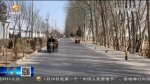 【短视频】小黄瓜托起“移民新村”百姓致富梦 - 甘肃省广播电影电视