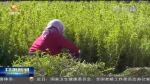 【短视频】甘肃：农村低收入人口获常态化帮扶 - 甘肃省广播电影电视