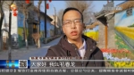 【短视频】我的扶贫故事——临夏小村庄的蝶变 - 甘肃省广播电影电视