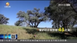 【短视频】《奋斗百年路 启航新征程》困难面前不低头 敢把沙漠变绿洲 - 甘肃省广播电影电视
