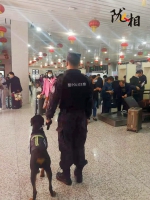 【陇人相·聚焦2021甘肃两会】我的警犬兄弟“米拉” - 中国甘肃网