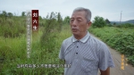 电视专题片《正风反腐就在身边》第三集：《坚守铁规》 - 甘肃省广播电影电视