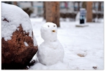 【光影甘农】羲园之雪 是写给我们的诗 - 甘肃农业大学