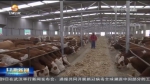 【短视频】依托特色产业 打造产业园区 甘肃省现代农业走上发展快车道 - 甘肃省广播电影电视