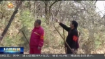 【短视频】（就地过年 暖在身边）坚守岗位的别样新年 - 甘肃省广播电影电视