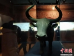 图为甘肃省博物馆展出的国宝级文物铜牦牛复制品。　张婧 摄 - 甘肃新闻