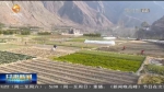 【短视频】（新春新气象）节后上班第一天  收心聚力开好局 - 甘肃省广播电影电视