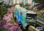重庆：一路繁花相送 带你驶向春天 - 人民网