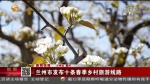 【短视频】兰州市发布十条春季乡村旅游线路 - 甘肃省广播电影电视