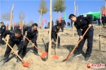 甘肃公安开展“绿化警院，美化校园”植树活动 - 中国甘肃网