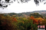 图为兰州市南北两山绿化林一隅的秋景，色彩斑斓。(资料图)兰州市南北两山环境绿化工程指挥部供图 - 甘肃新闻