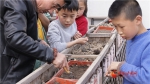 兰州建社区版开心农场 欢迎孩子们来种菜 - 中国甘肃网