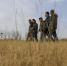 3月31日，在白城市镇赉县，护飞队员在野外观察候鸟活动情况。新华社记者 张楠 摄 - 人民网