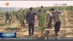 【短视频】庆阳：生态优先绿色发展 守“土”有责保卫黄河 - 甘肃省广播电影电视