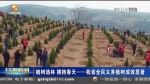 【短视频】植树造林 拥抱春天——甘肃省全民义务植树成效显著 - 甘肃省广播电影电视
