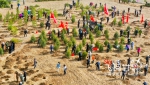 【飞阅甘肃】甘肃张掖：万人植树描绘春季最生动风景 - 中国甘肃网