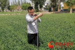 北干渠灌溉管理所：绘制管水治水的“新时代答卷” - 中国甘肃网
