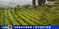 【短视频】甘肃贵州以茶叙缘 小茶叶促进大发展 - 甘肃省广播电影电视