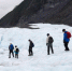 正退化的新西兰福克斯冰川 - 人民网