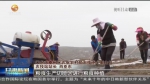 【短视频】甘肃：推进高标准农田建设 - 甘肃省广播电影电视