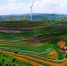 图为盛夏时节，航拍甘肃定西市安定区的梯田宛如一条条绿色丝带，缠绕在黄土高原上。（资料图）　王金生　摄 - 甘肃新闻