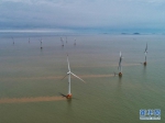 浙江省最大海上风电场群开始正式并网运行 - 人民网